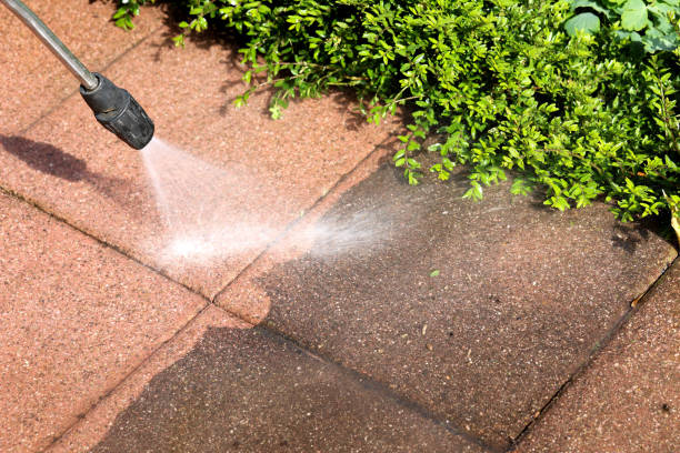 Best Roof Power Washing Services  in Rogersville, MO